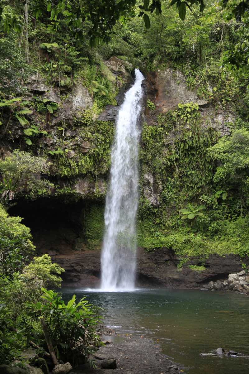 Hike Bouma Waterfalls - Taveuni Palms