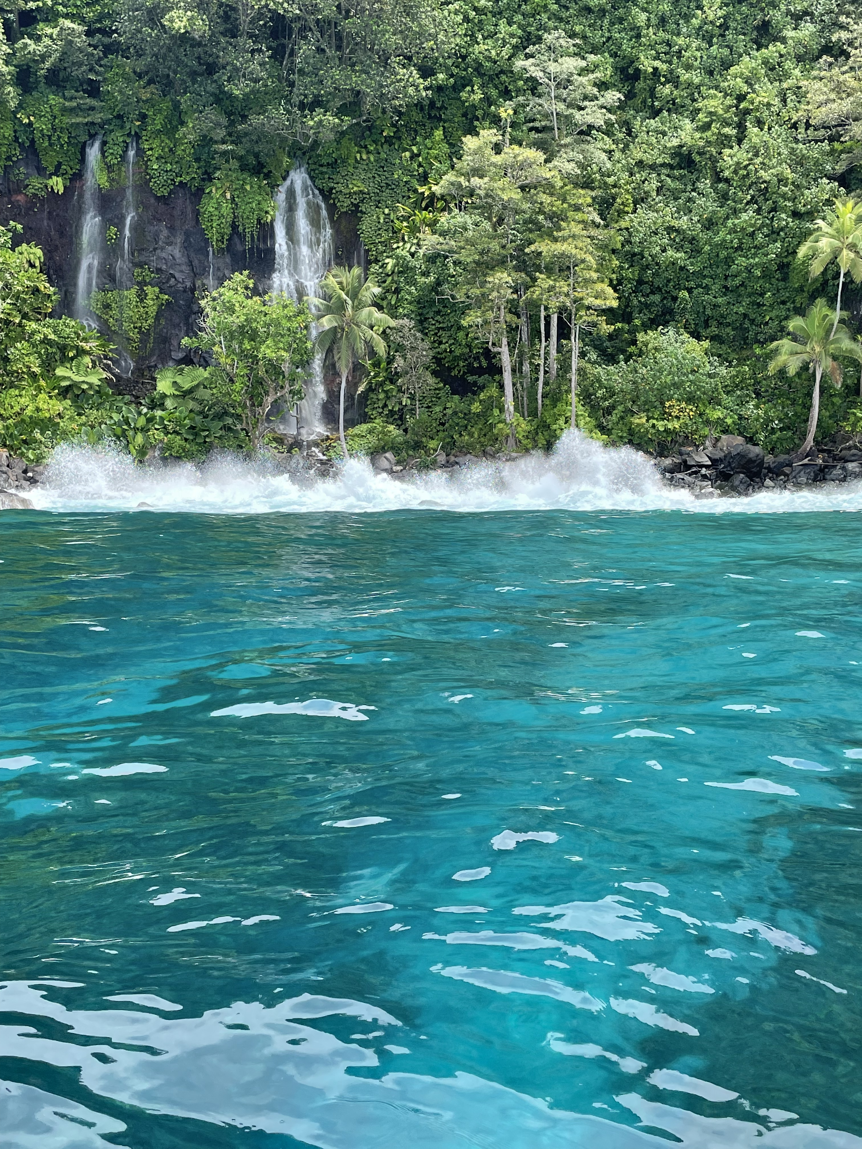 Waterfalls along Lavena Coast.