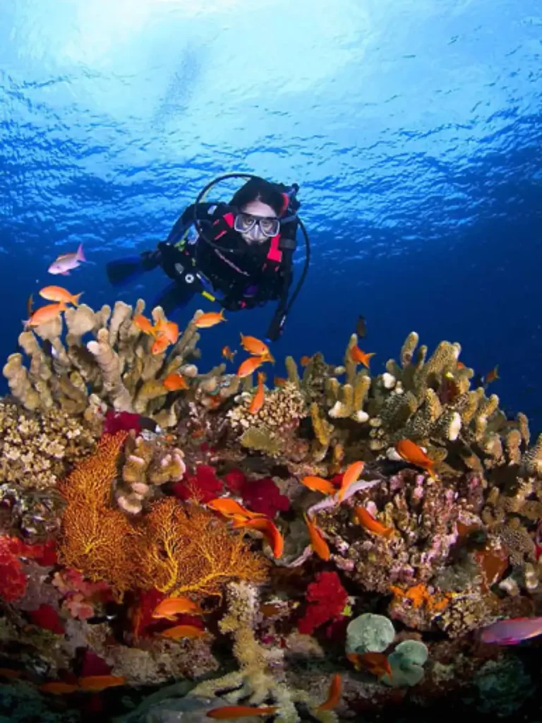 scuba diver on Rainbow Reef, Fiji