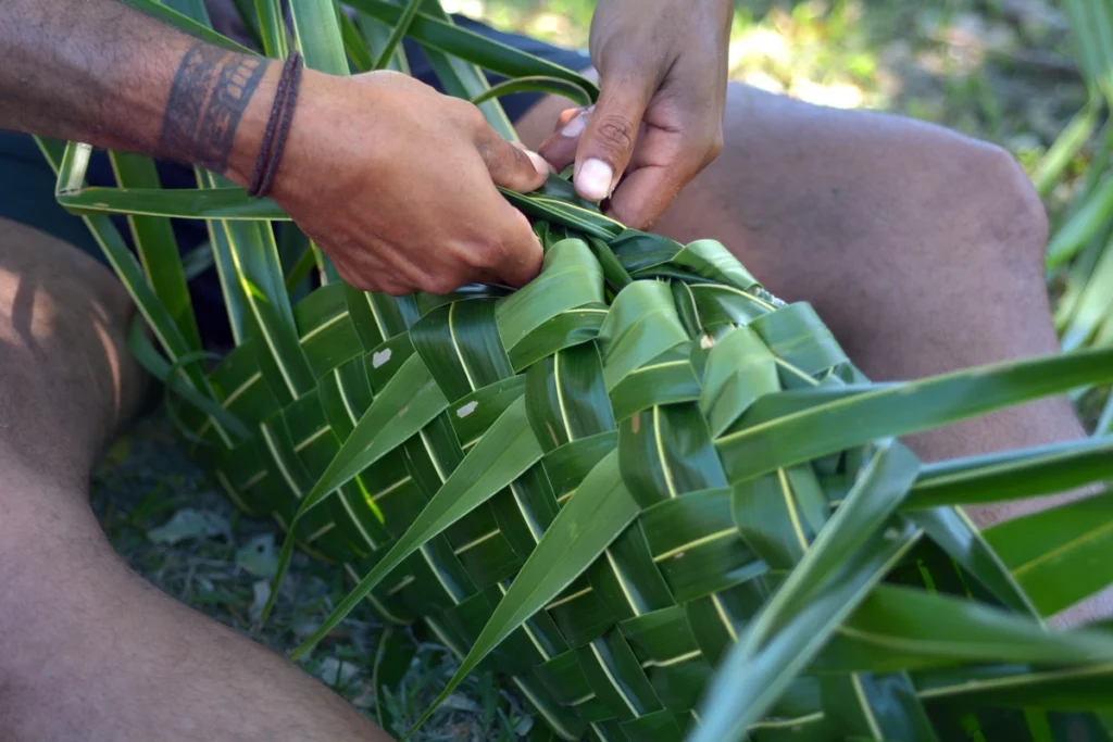 coconut weaving for lovo