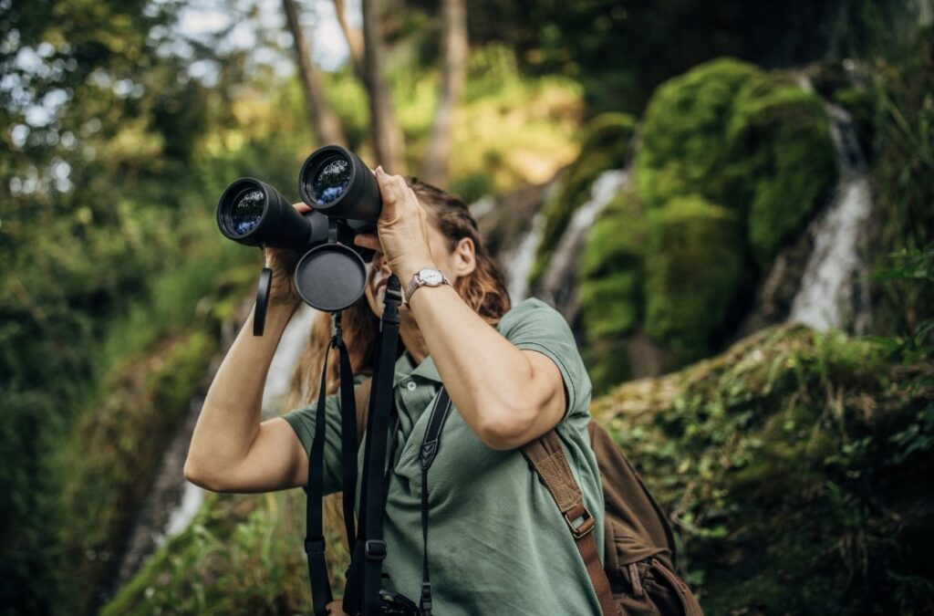 Bird-watching with binoculars