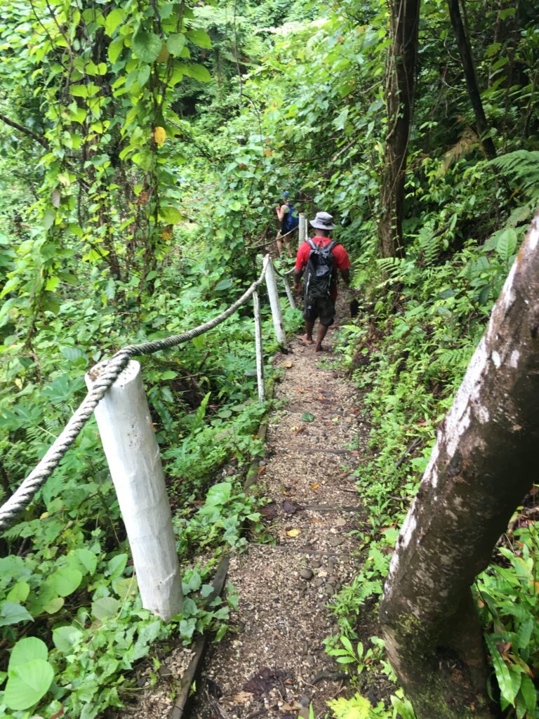 Lavena walking track