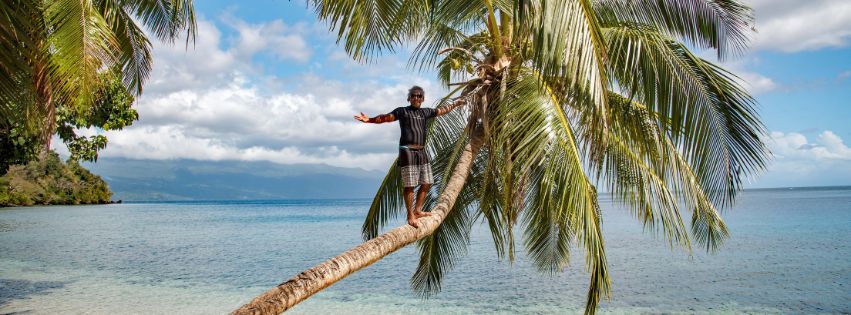 Fijian standing on a coconut palm overhanging a secluded beach, Taveuni Island, Fiji